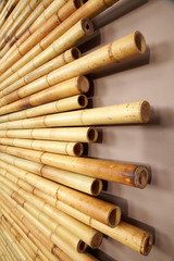Bamboo cane background texture