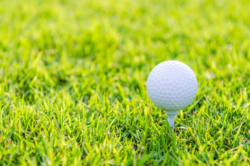 Golf ball on green grass