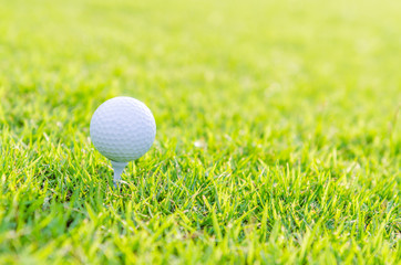 Golf ball on green grass