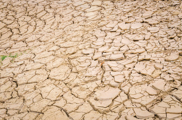 cracked soil