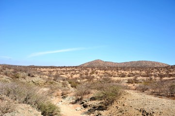 Somali ladscape