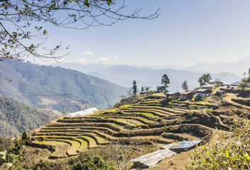 Village with rice terraces