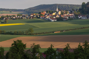 spring landscape