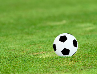 Fototapeta premium Soccer ball on green field with sunny day.