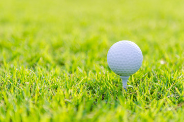 Golf ball on green grass
