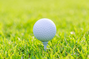 Golf ball on green grass