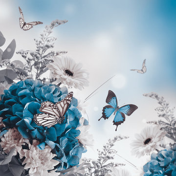 Fototapeta Bouquet from blue hydrangeas and  butterfly, a flower background