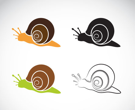 Vector image of an snail