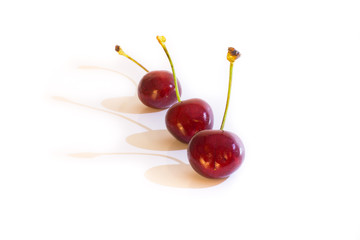 Trio of cherries lined up isolated on white