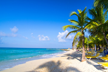 Obraz premium tropical beach