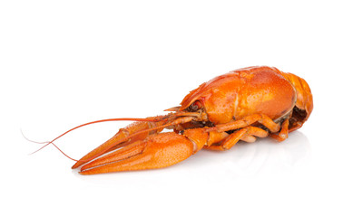 Boiled crayfish