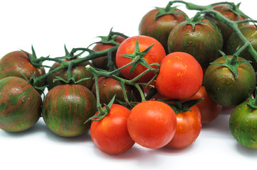 tomatoe 5