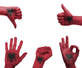Hand set with the flag of Albania