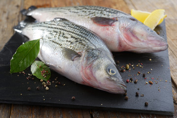 Sunshine bass on a table