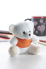 White Teddy Bear