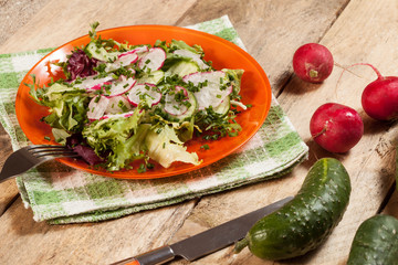 Salad with radish and green cucumber