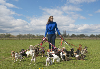 girl and chihuahuas