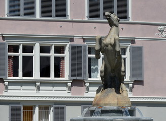 Naklejka premium vieux bâti zurichois