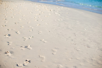 Human footprints on white sand beach