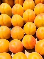 Apricots sitting in a box