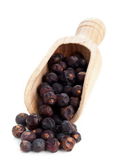 Juniper berries in wooden scoop on white