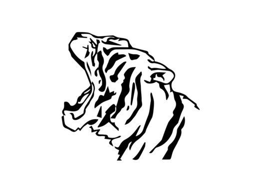 testa di tigre stilizzata su sfondo bianco