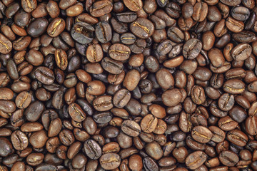 roasted coffee beans