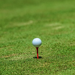 Golf ball on tee over a blurred green. Shallow depth of field. F