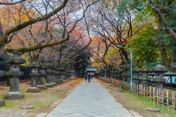Toshogu Shrine at Ueno Park in Tokyo