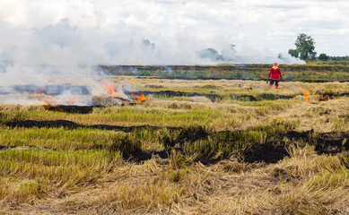 Fototapeta premium Farmers in Thailand are set fire to straw stubble