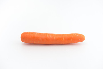 Carrot isolated