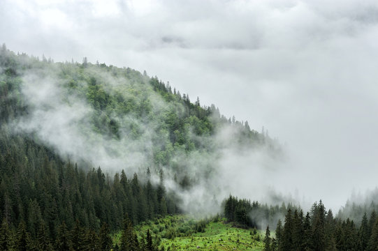 Fototapeta Fog and cloud mountain valley landscape
