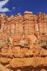Fototapeta premium hoodoos de Queen's garden trail, Bryce canyon