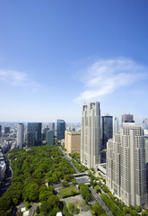 新緑の緑が鮮やかな新宿中央公園とともに東京都庁と新宿高層ビル群を望む【国際都市イメージ】