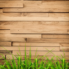 Fresh spring green grass over wood fence background
