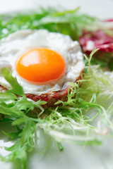 Beef tartar with fried egg