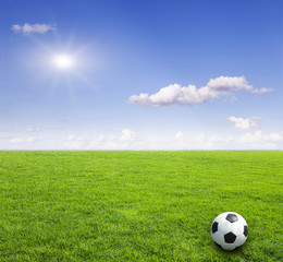 soccer field green natural grass