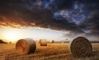 Washable wall murals Summer Beautiful golden hour hay bales sunset landscape