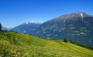 Panoramablick in den Bergen