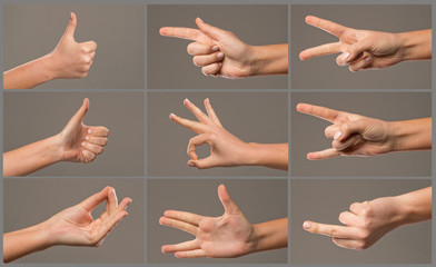 Human Hand collection, different hands