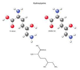Hydroxylysine (Hyl) - chemical structural formula and models
