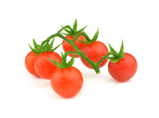 Tomato branch