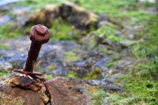 rusty bolt with moss