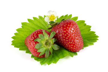 Strawberries on green leaf isolated on white