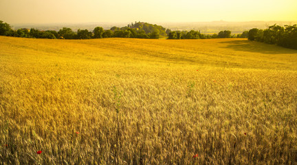 Agriculture