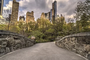Photo sur Plexiglas Pont de Gapstow Central Park, New York City