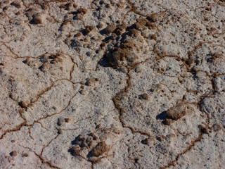 sand in desert
