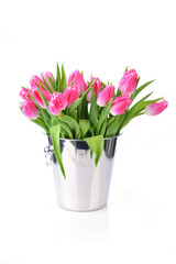 pink tulips