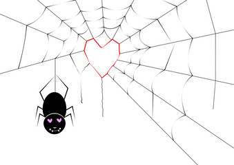 spider making a heart web