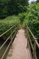 Fototapeta na wymiar Foot Bridge Into Dense Foliage